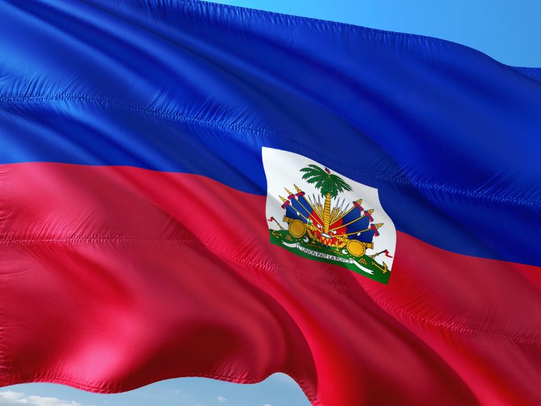 Haitian Flag 2